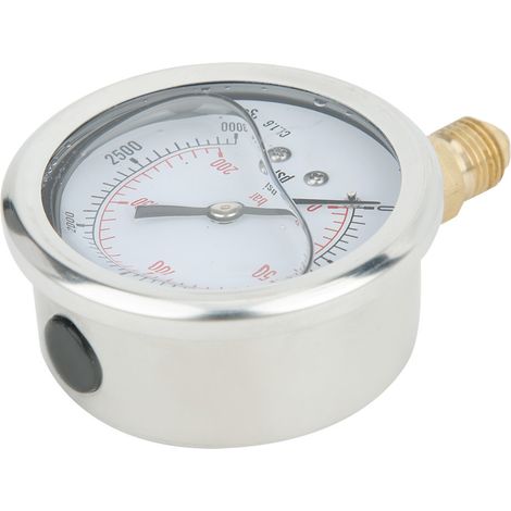 Manomètre radial TS PGG604-200bar 1/4BSP Y60 pour la mesure de la pression domestique (1/5)