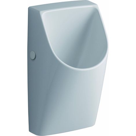 Keramag Urinal Renova Nr. 1 Plan wasserlos, Abgang nach hinten, weiß (1/2)