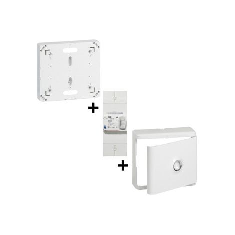 Legrand - Disjoncteur de branchement EDF 15/30/45A Instantanu00e9 + Platine + Habillage avec Porte - Ru00e9f. :  401000+401191+401185