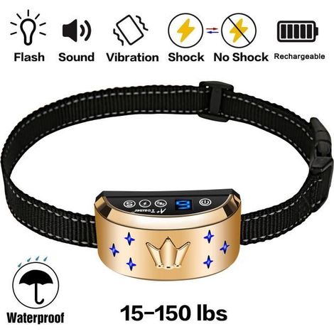 Collier Anti-aboiement - Rechargeable - Pour chien moyen - Dressage extérieur (1/4)
