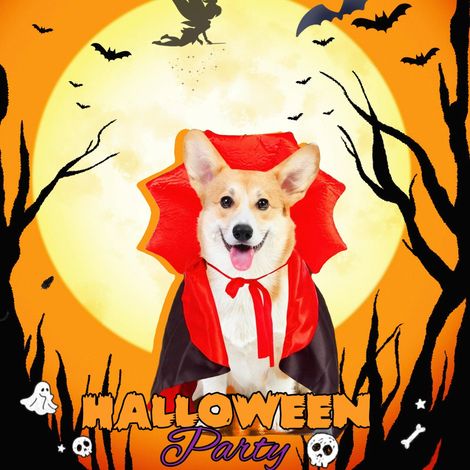 Halloween-Kostüm für Hund und Katze, Halloween-Vampir-Kostüm, Halloween-Kostüm, Halloween-Kostüm für kleine, kleine Tiere (1/4)