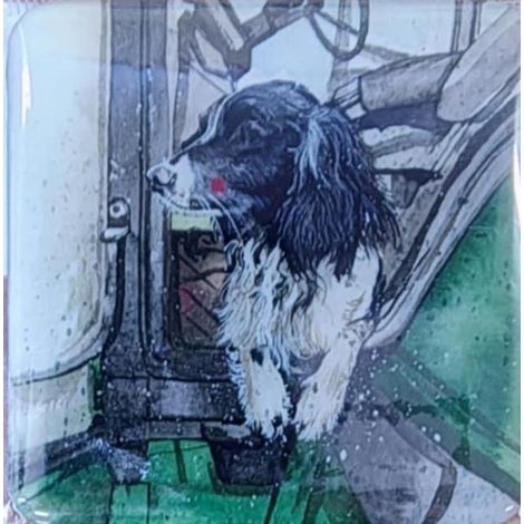Magnete FM256 Austin il cane