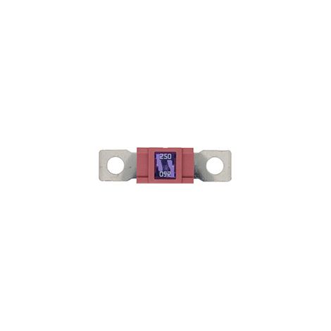 10 Fusibles Magnum 250A