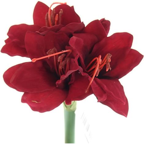 GASPER Amaryllis - Ritterstern Rot 31 cm - Kunstblumen (1/2)