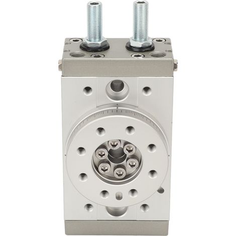 Vérin rotatif oscillant, vérin pneumatique rotatif, réglable de 0 à 190° MSQB-30A (1/5)