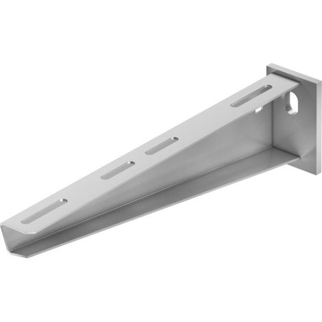 OBO Bettermann Vertr Wand- und Stielausleger mit Kopfplatte AW 30 31 FTK LGR (1/2)