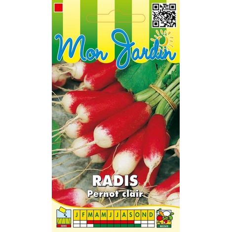 Radis Pernot clair - 10g