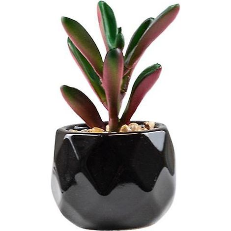 Plante artificielle réutilisable, réaliste, en PVC, facile d'entretien, succulentes artificielles, bonsaï9 (1/5)