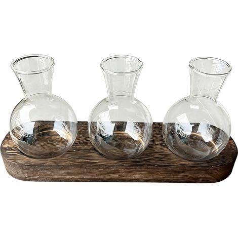 Anzuchtstation Holzsockel Terrarium Hydrokultur Glas