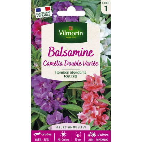 Balsamine Camélia Double Variée Vilmorin
