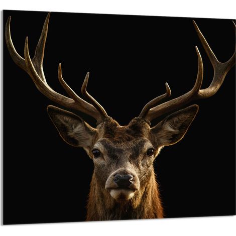 Panneau de verre POUR la cuisine 65x60 Cerf (1/5)