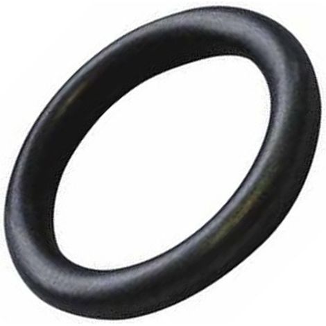 Joint torique (318392-54882) (500410147) Centrale vapeur DOMENA