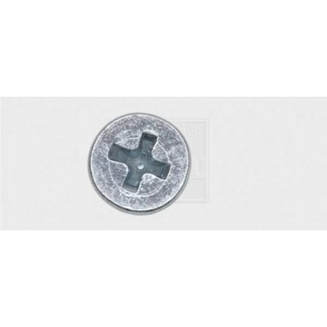 SWG 4009146043601 Assortimento viti filettate M5 30 mm A croce Phillips DIN 965 Acciaio zincato 100 pz.