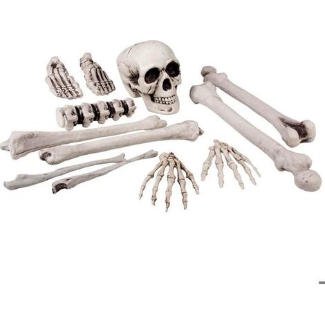 Kit de décoration - BOLAND - Set 12 pièces Tête de mort et os - Beige - Thème Halloween/pirate - Pour adulte (1/4)