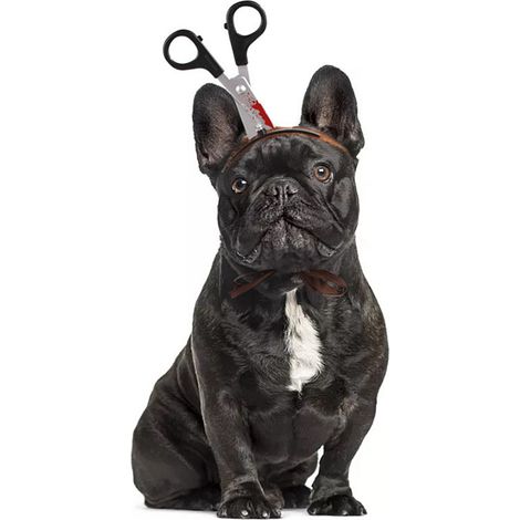 Chapeau Halloween Animal - Déguisement Zombie Scie Seringue - Accessoire Fête Thème Horreur - Pour Chien Chat - Lot De 2 (1/5)