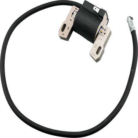 Bobina di accensione ad alta tensione compatibile con 398811 395492 398265 395326 - ALTRI (1/3)