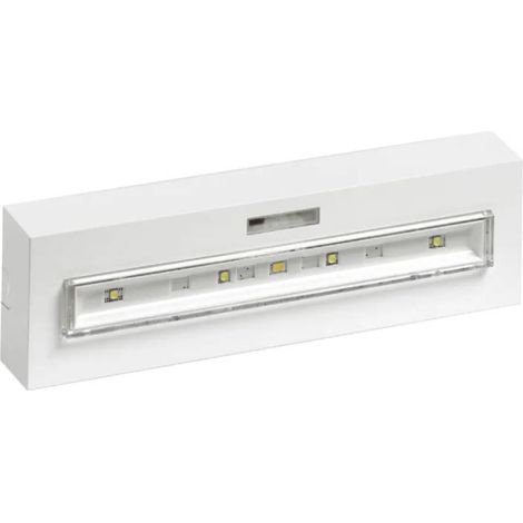 Bloc Autonome d'Ambiance SATI Connecté 450 lm / 1h – Pose plafond (1/3)