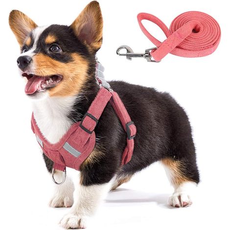 Harnais Chien - Tissu Suédé Doux Réglable avec Bande Réfléchissante - Modèle Enfilable Sans Tirage pour Chiots et Chiens Petits à Moyens - 1 Pièce (1/5)