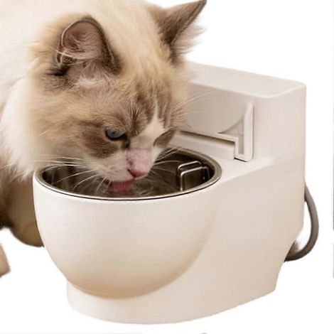 Wasserspender für Hunde und Katzen – Katzen- und Hundenapf – Lustiger Toilettennapf (1/5)
