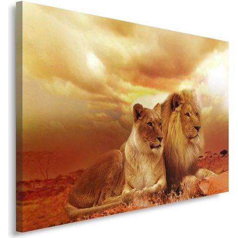 Quadro su tela, Leoni Animali Africa Marrone - 90x60 (1/5)