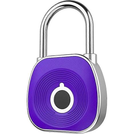 Cadenas intelligent à empreinte digitale, serrure biométrique intelligente pour armoire, serrure de porte numérique sans clé, cadenas de bagage rechargeable par USB. (1/5)