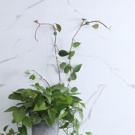 Lot de 10 clips muraux pour plantes grimpantes, en plastique autocollant vert, pour la décoration intérieure et extérieure et la fixation de câbles. (1/5)