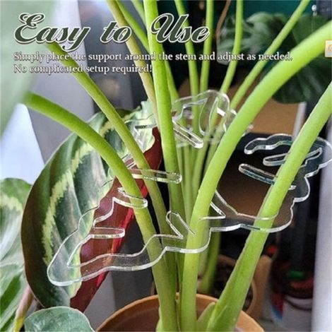 Support Pour Tige De Plante - Fixation En Plastique Transparent Réutilisable - Pour Intérieur Et Extérieur - Lot De 6 (1/4)