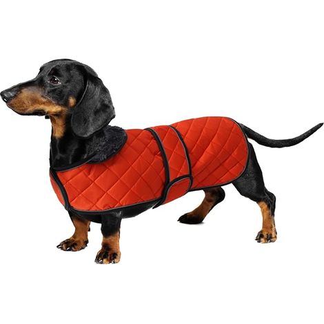 Warm Waterproof Coat for Dachshund, Winter Dog Coat with Warm Fleece Lining and Adjustable Strips, Winter Jacket for Small Medium Dogs-Orange-L (1/5)
