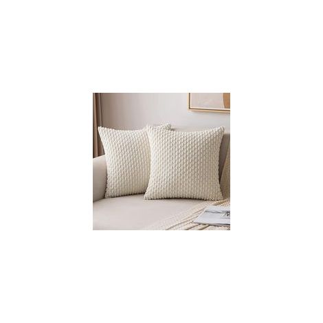 Housse de Coussin Velours, 50x50 cm, Doux et Élégant, Set de 2, Décoration Canapé, Salon, Chambre