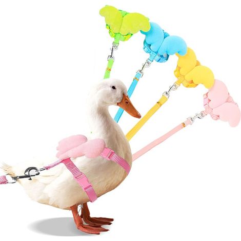 Arnés de entrenamiento al aire libre Cole para patos, accesorios divertidos para patos, cuerda ajustable para el entrenamiento al aire libre de pollos, gansos y otras aves de corral (M) (1/5)