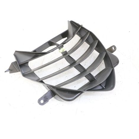 GRILLE RADIATEUR PEUGEOT SPEEDFIGHT 2 LC 50 2000 - 2009 (1/5)