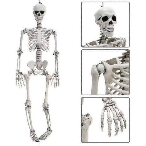Life-size 90cm articulated human skeleton, decorative accessory for haunted houses, Halloween (1/5)
