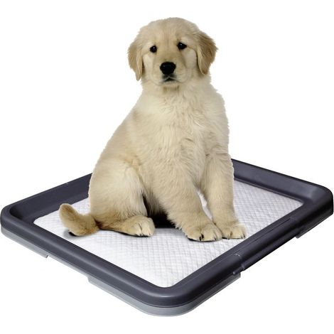 Nobby Doggy Trainer Ersatzpads 24 Stück Größe L Pflege & Hygiene
