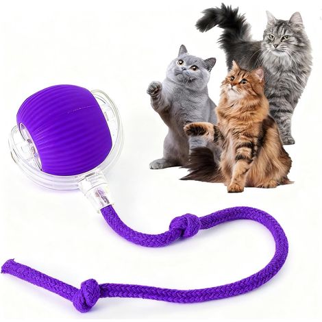 Balle jouet automatique pour chats d'intérieur – Jouet électronique interactif et autonome pour chats rechargeable par USB, roule silencieusement aide à combattre l'ennui et encourage l'activité (1/4)