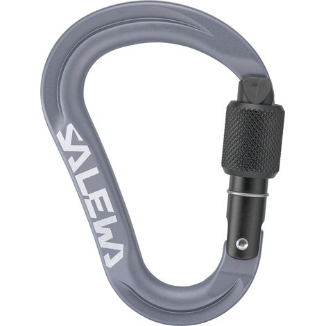 Salewa ortles HMS S Unisex-Kletterkarabiner grau 00-00000720010987 (1/4)