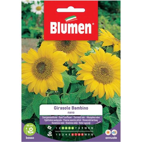 SEMI GIRASOLE BAMBINO NANO BLUMEN