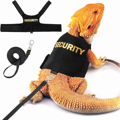 Ensemble laisse pour dragon barbu – Sangle de poitrine réglable pour lézard/reptile afin d'empêcher les évasions, avec laisse (1/5)