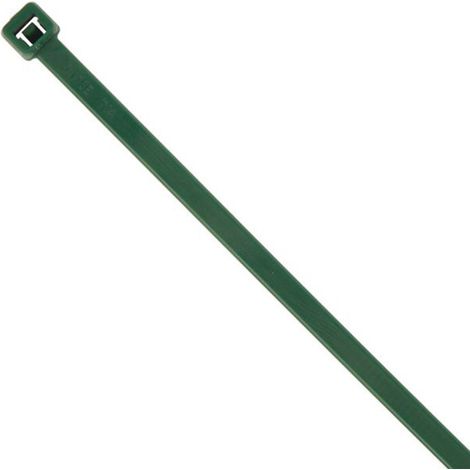 C FASCETTA NYLON PA66 4,8X200MM VERDE 100 PZ