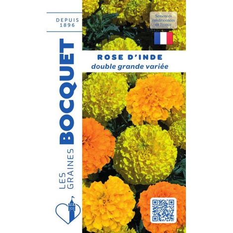 Rose d'Inde double grande variée - 1,5g
