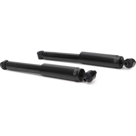 2 AMMORTIZZATORI posteriori S+D FORD FOCUS I Turnier (DNW) (1/5)