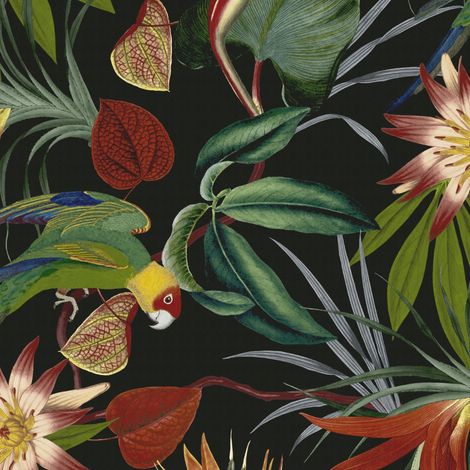 Vliestapete - Papagei Schwarz - Mehrfarbig - 1005x52 cm