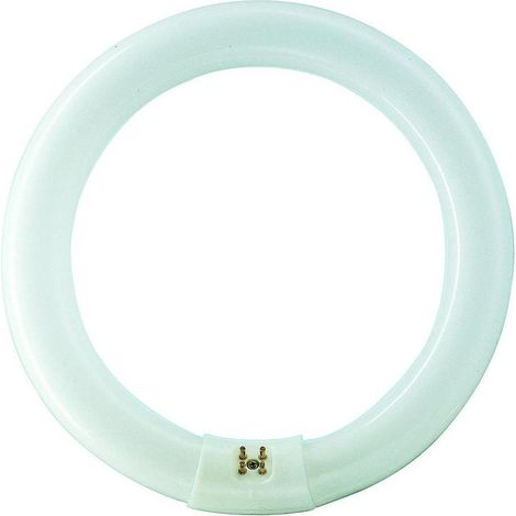 PHILIPS TL-E 22W/840 1CT/12 Kaltweiß, Ringlampe mit Ø 213,5 mm, dimmbar
