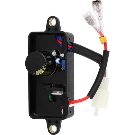 Pièces de rechange pour un régulateur et stabilisateur de tension de générateur monophasé de 2,8 kW (1/5)