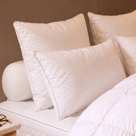 Oreiller Thermoduv Canard - 90% Duvet - Medium - 65/65 - DODO (1/2)