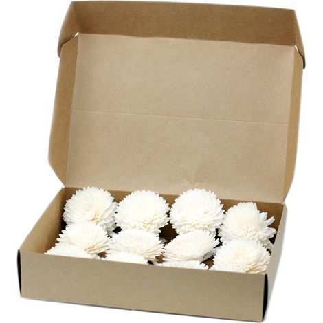 Fleurs naturelles pour diffuseur - Oeillet Lrg sur ficelle- Vendu par 1