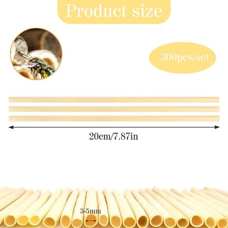 Paille en paille de blé naturelle pour hôtel à insectes et tubes de nidification pour abeilles maçonnes sauvages, 300 pièces