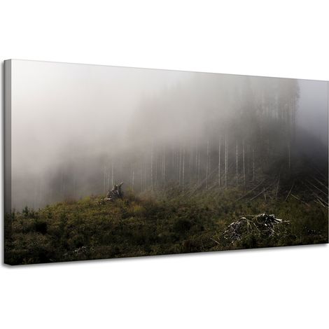 Leinwanddruck Natur Nebel im Wald 120x60 cm