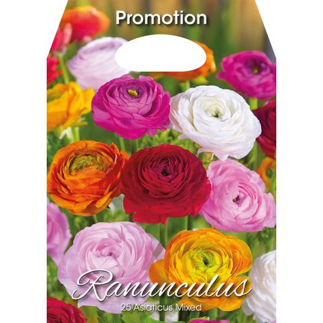 Ranuncoli Asiaticus Mixed (CONFEZIONE DA 25 BULBI)