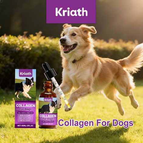 Collagen Drops for Dogs - Gentle Care for Skin, Coat, and Joints - Easily Absorbed - 60ml -- BIEMMEDUE (1/5)