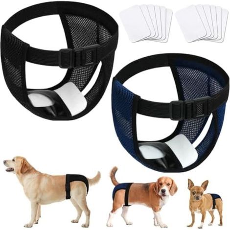 Couche hygiénique réutilisable pour chienne taille S (2,3-5,4 kg), gris foncé, avec 5 serviettes absorbantes, anti-fuite et lavable (1/5)